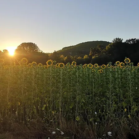 Сasa de vacaciones Charmante Maison Saint-Leon-sur-Vezere